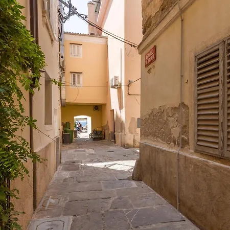 Appletree * Piran